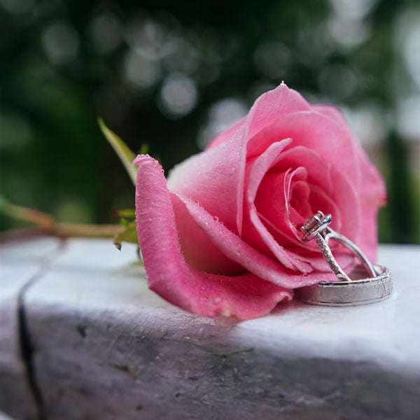 "A Rose for Emily" - Inspired Jewelry for a Timeless Campus Look