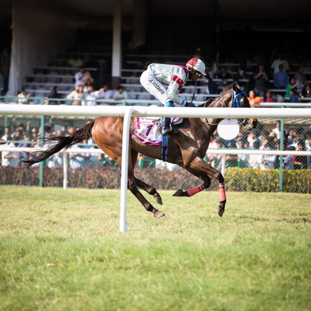 The Royal Ascot